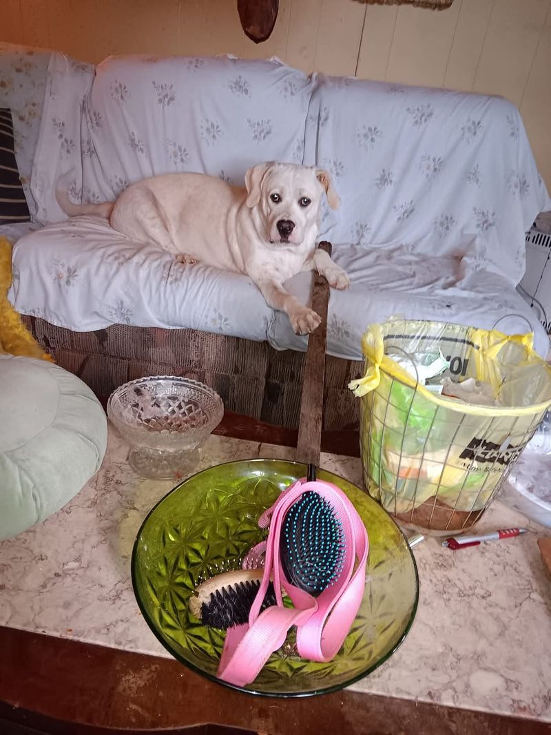 Heather, 49