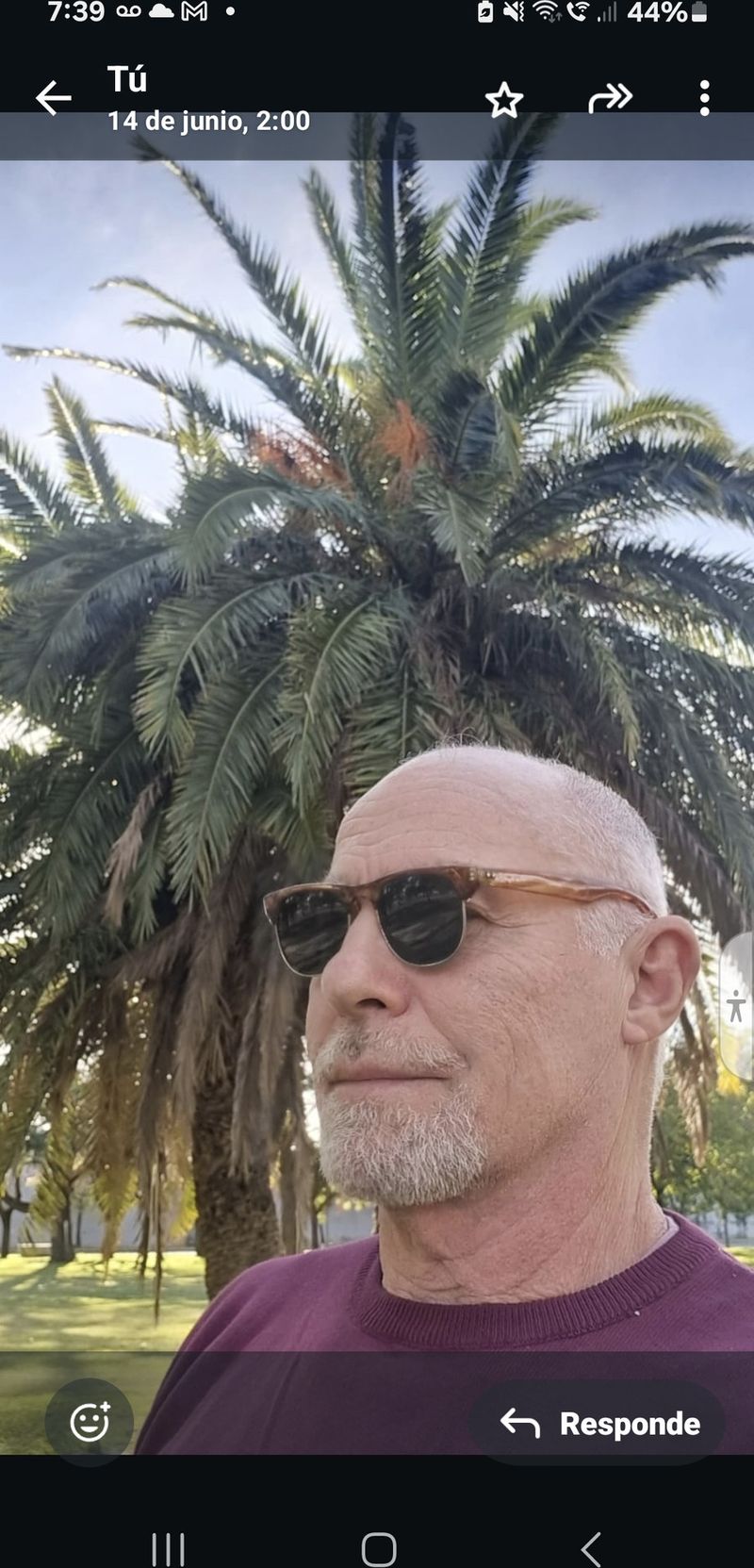 Bar, 60