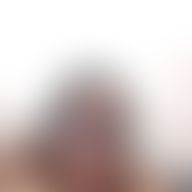 Noe, 41