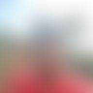 Coco, 47