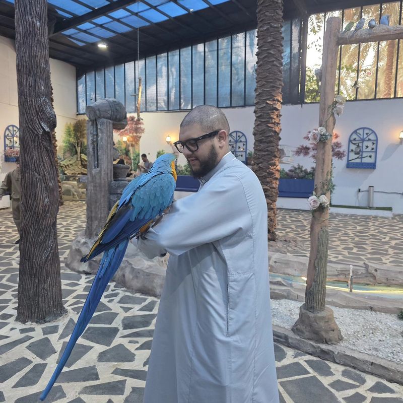 Abdel, 34