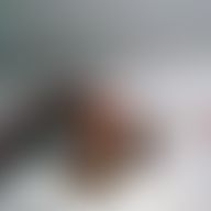 Rodolfo Ruiz, 54