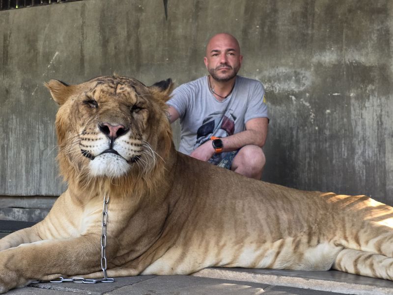 Matt, 42