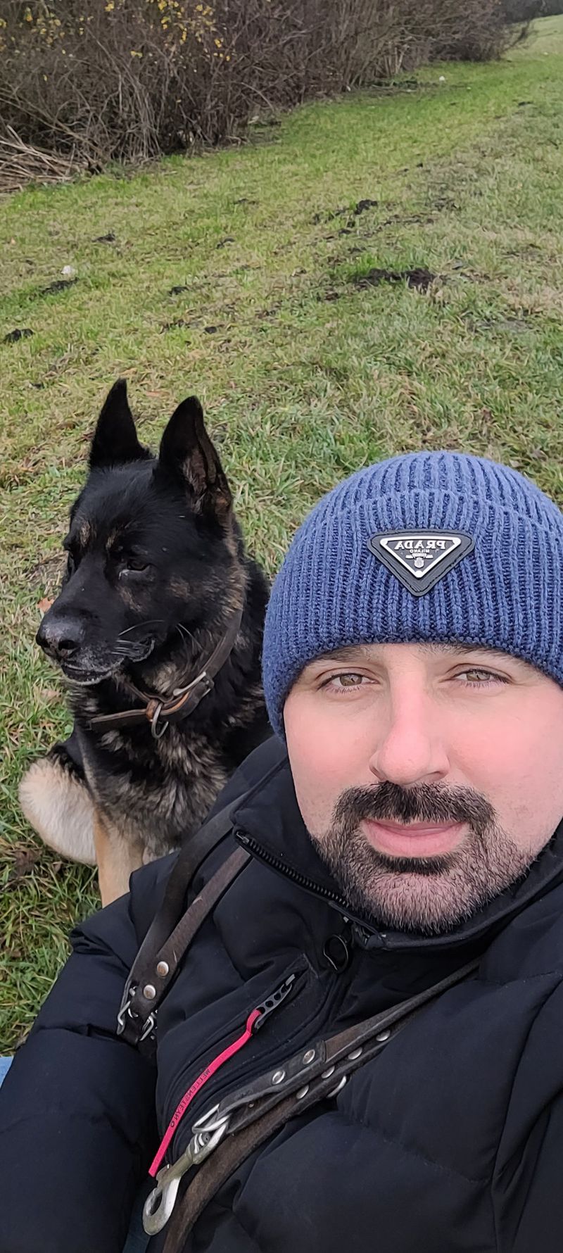 Alexander, 43