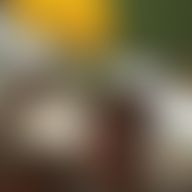 Rolando, 35