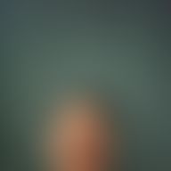 Josue, 51