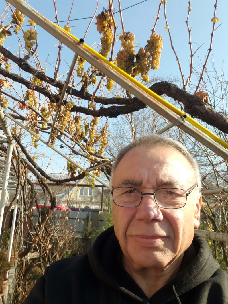 Zurik, 60