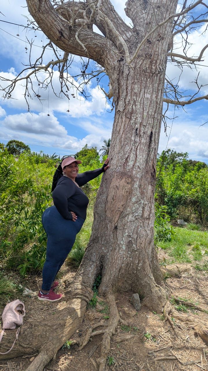 Kirenia, 47