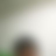 Rafael, 50