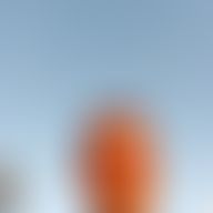 Anders, 42