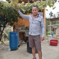 Gregorio Esiritu Huarauya, 47