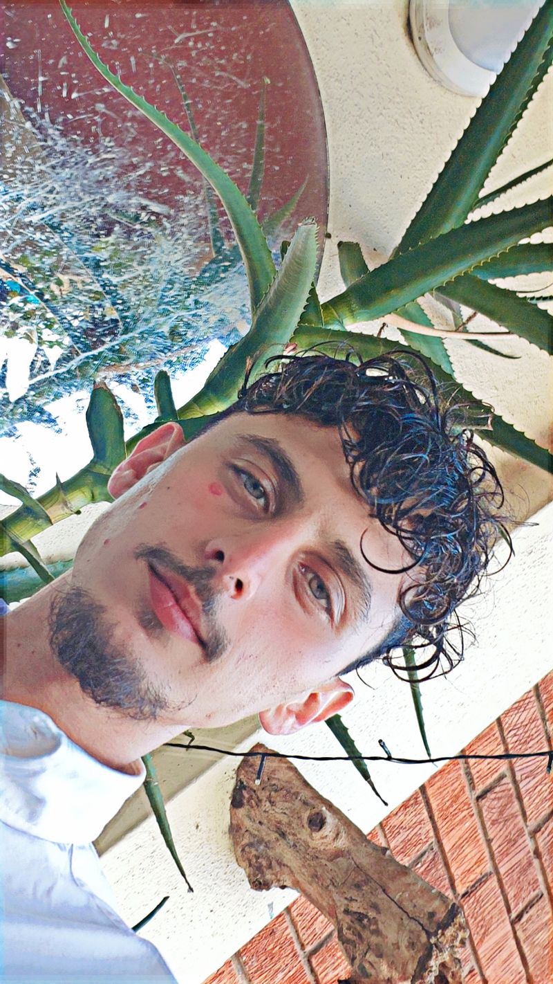 Dil, 25