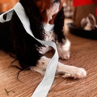 Світлана, 45