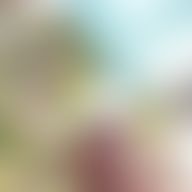 Richard, 38