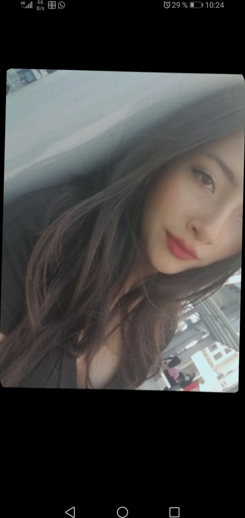 Fiore, 20