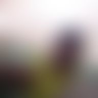 Noe, 34