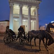 Володимир, 60