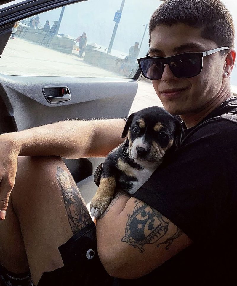 Alexander, 26