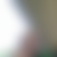 Adamb, 51