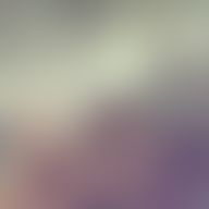 Alexander, 26