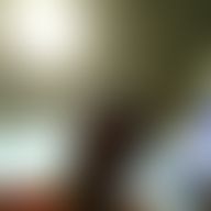Sergio Alberto, 52