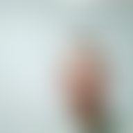Sylwek, 47
