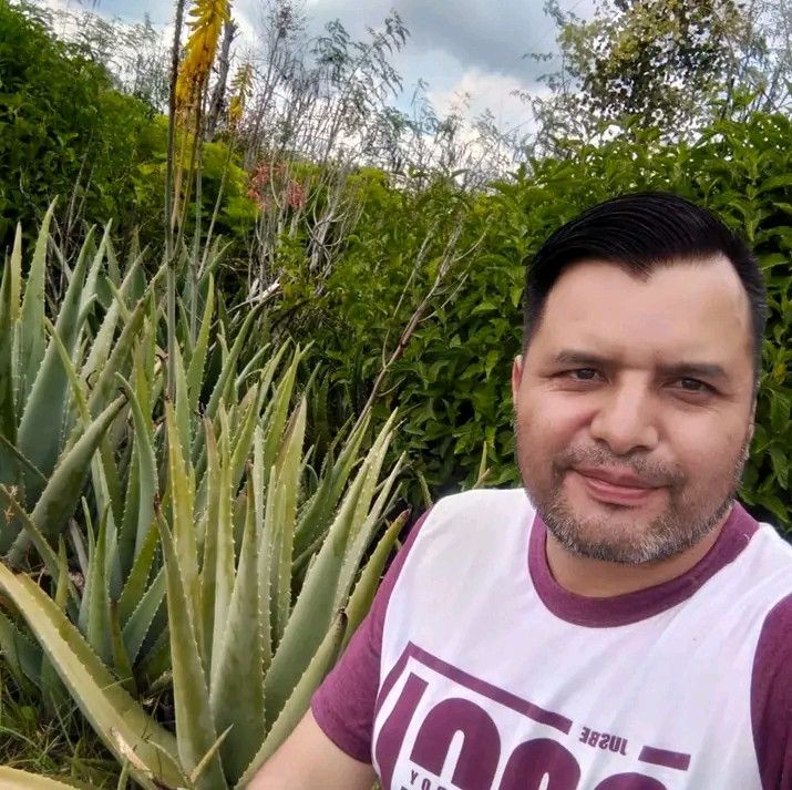 Zonpi, 39
