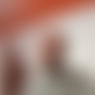 Ricardo, 68