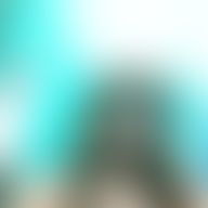 Mireya, 37